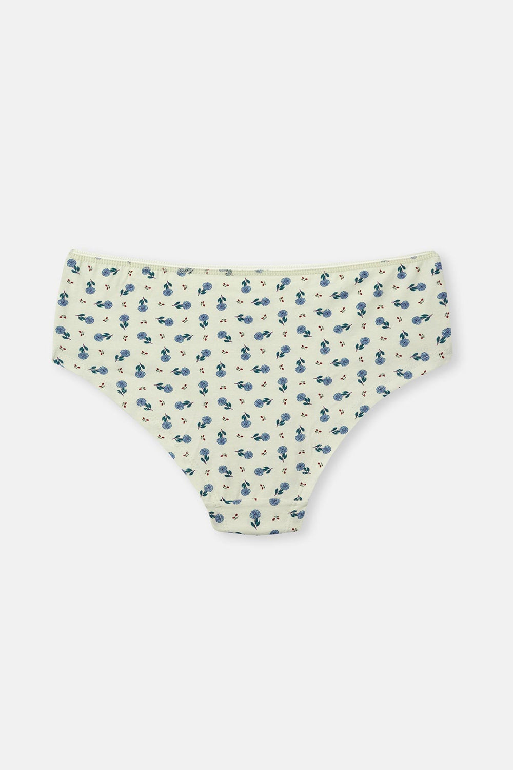 Rose Dust-Mint 3-PACK PATTERNED HIPSTER PANTIES