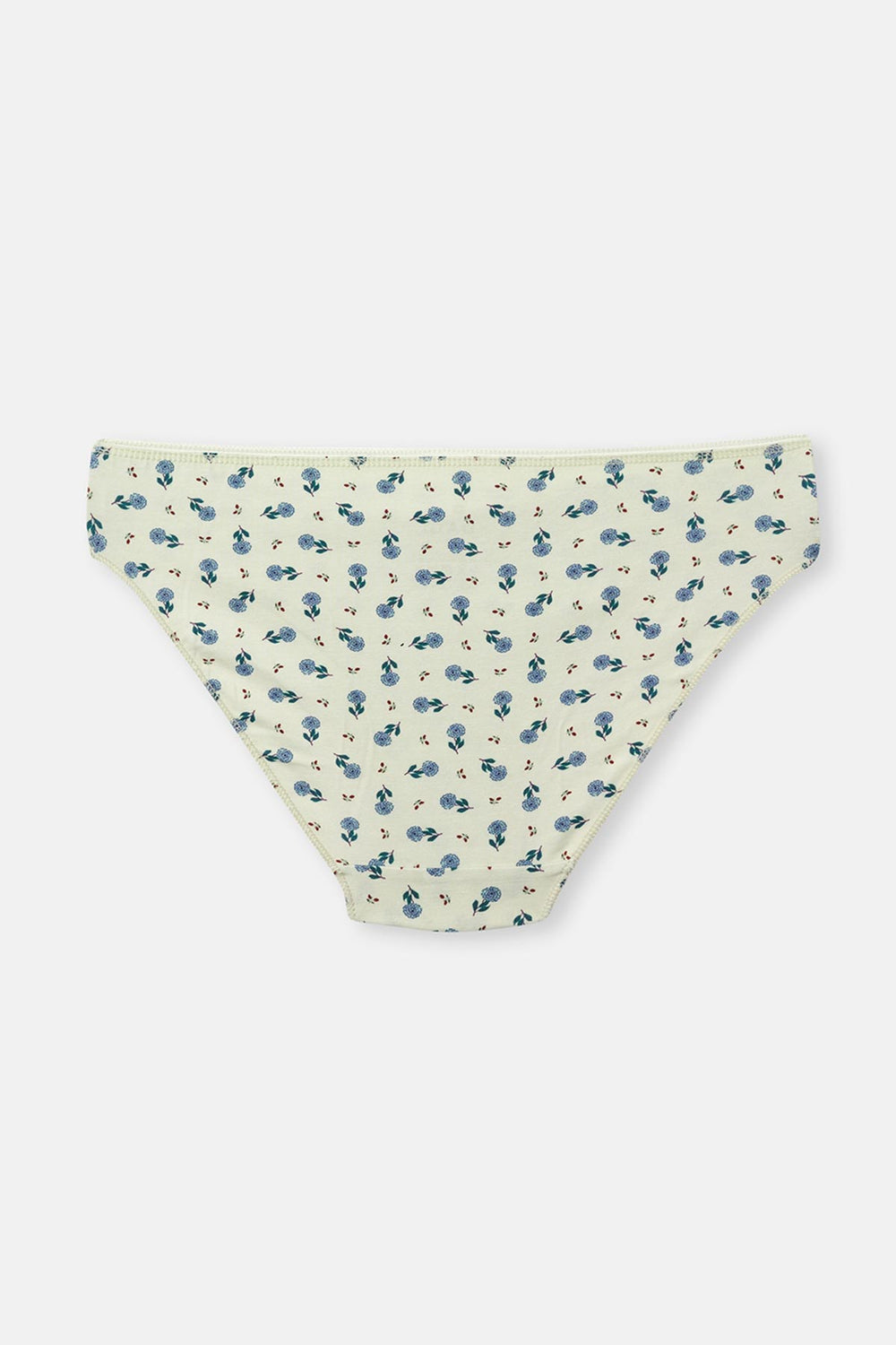 Gül Kurusu-Mint Kadın 3'lü Desenli Brief Külot