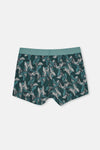 Yeşil Pamuk Desenli Boxer