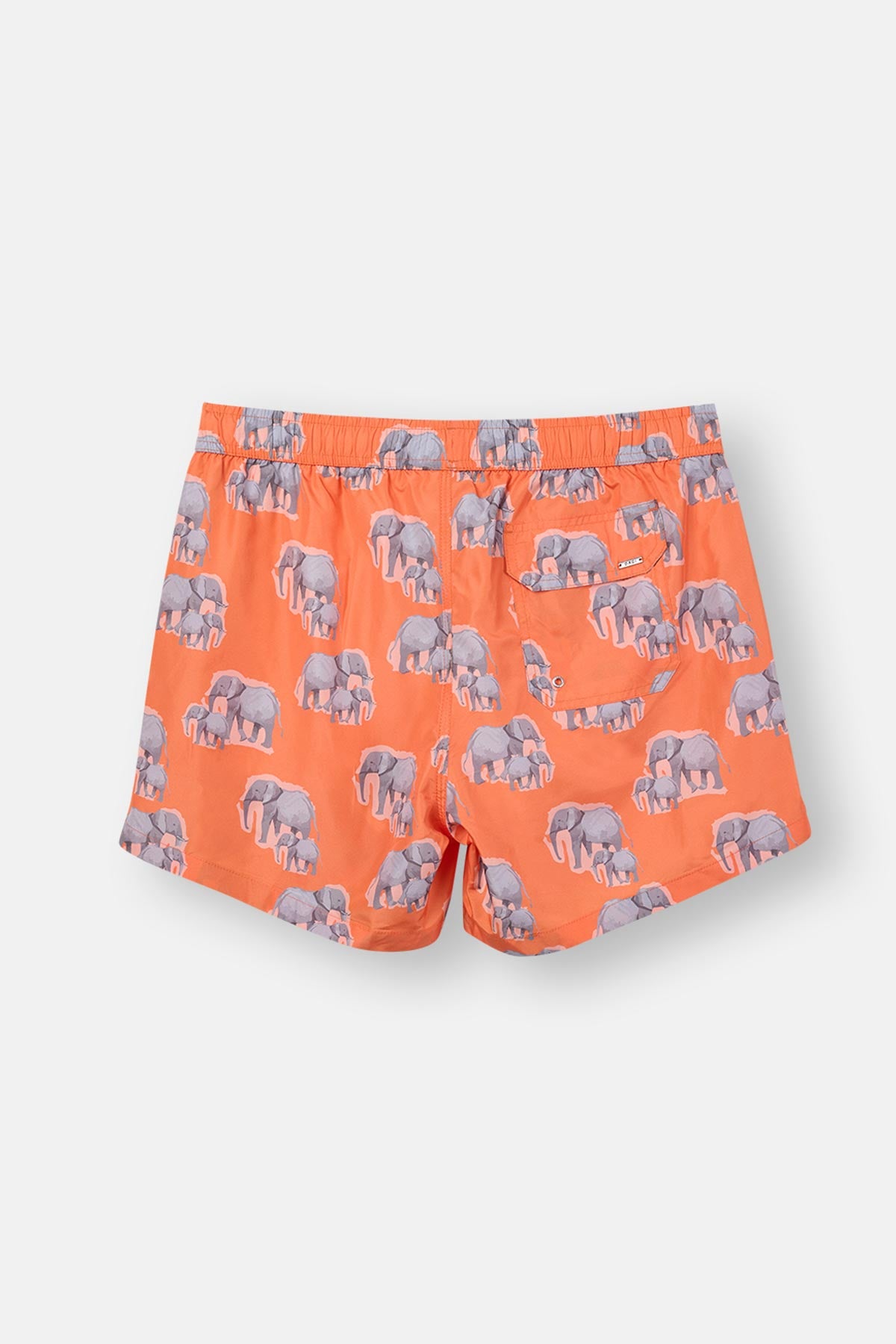 Multicolor Kısa Şort