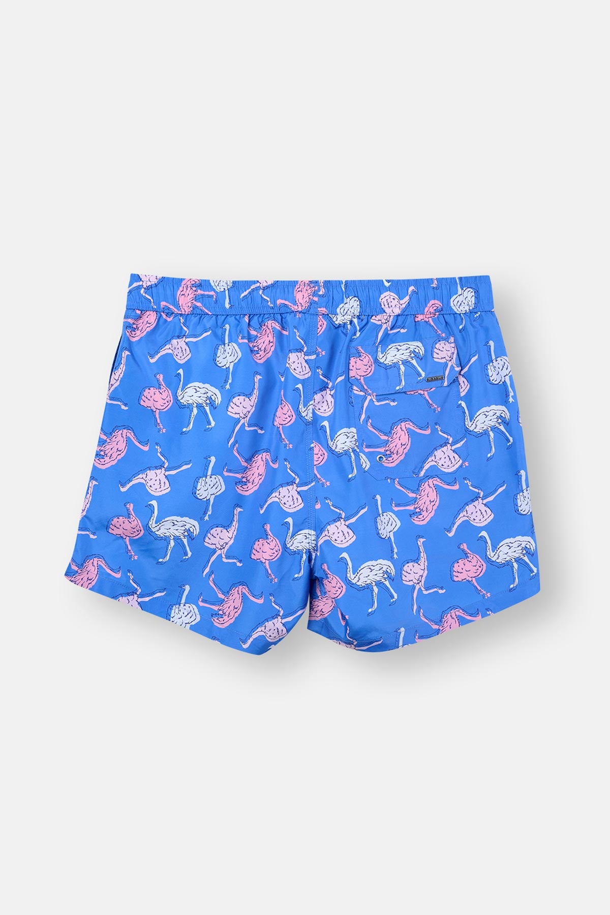 Multicolor Normal Bel Kısa Şort