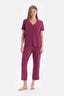 Bordeaux SHORT SLEEVE V-NECK BASIC VISCOSE T-SHIRT PANTS PAJAMA SET