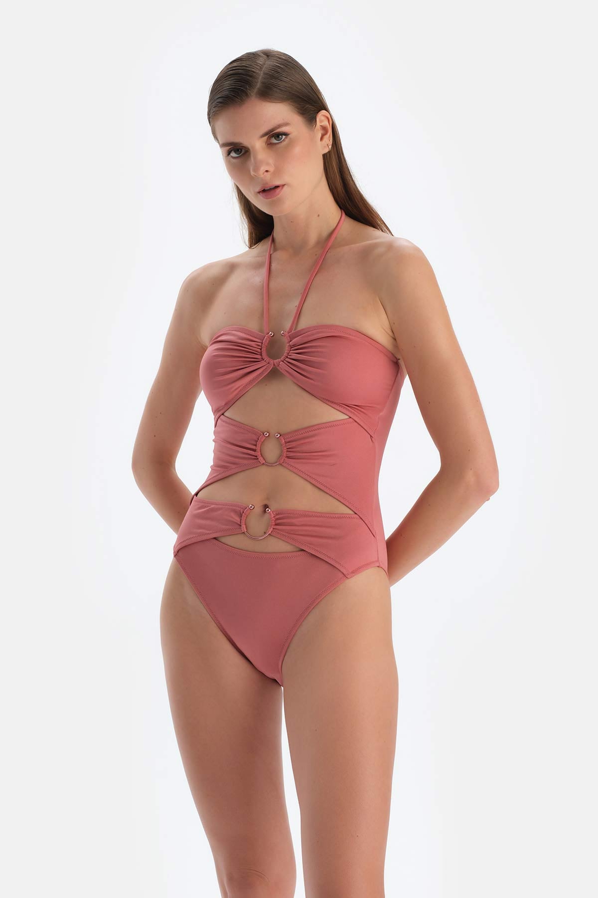 Gül Kurusu Mayokini