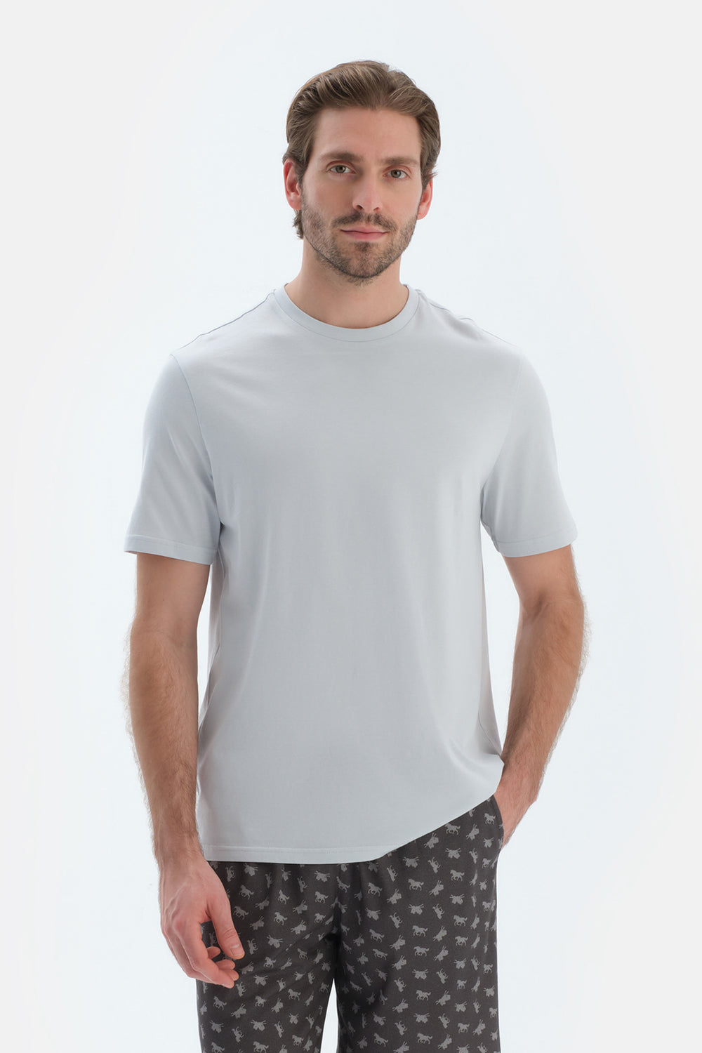 Açık Gri Kısa Kollu Bisiklet Yaka Basıc Tişört