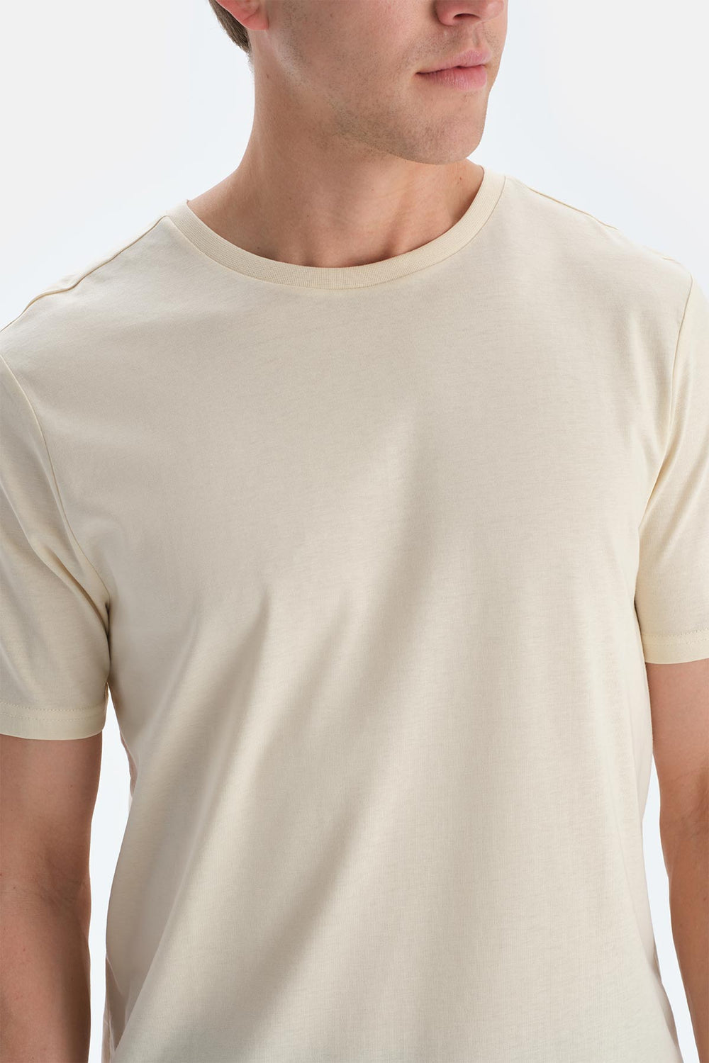 Ekru Bisiklet Yaka Ipek Apre Kısa Kollu Tişört