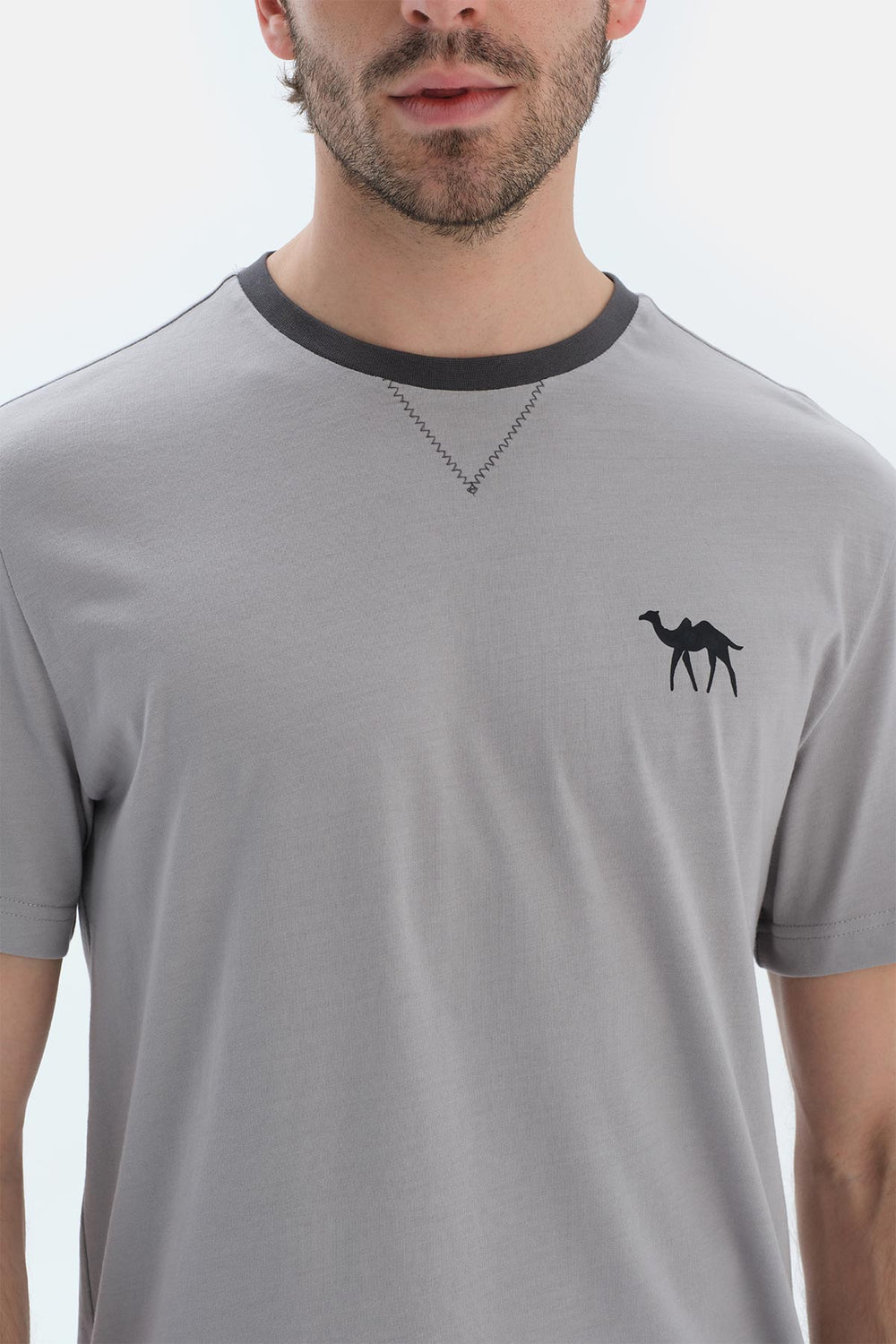 Gri Kısa Kollu Baskı Detaylı Tişört Pantolon Pijama Takımı