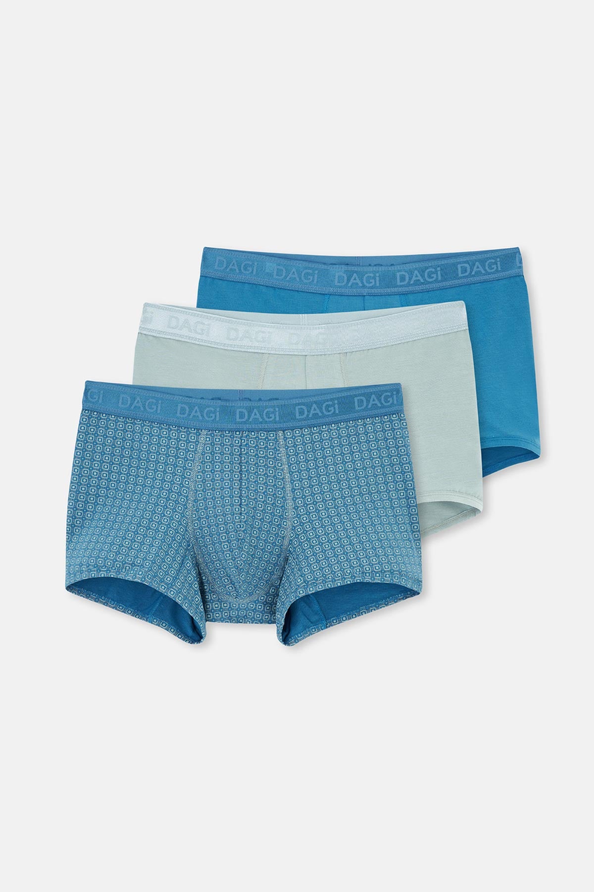 Blue-Green BOXER