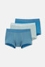 Blue-Green BOXER