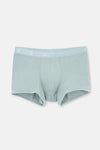 Blue-Green BOXER