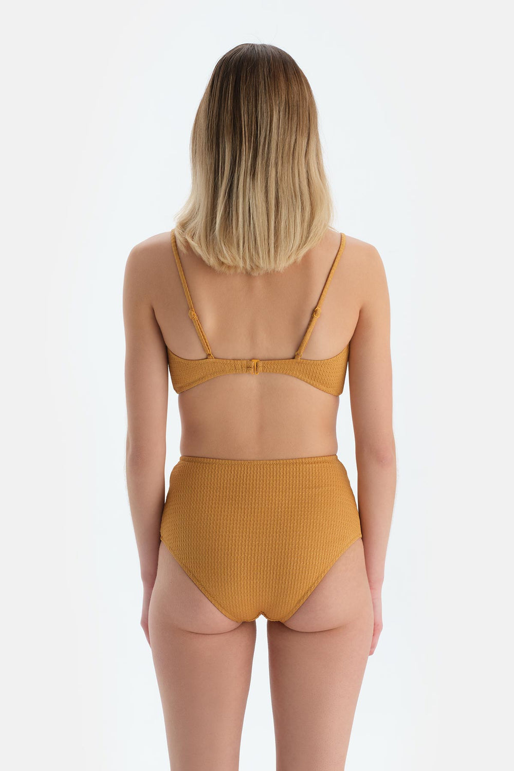 Hardal Yüksel Bel Bikini Alt