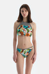 Multicolor Normal Bikini Alt
