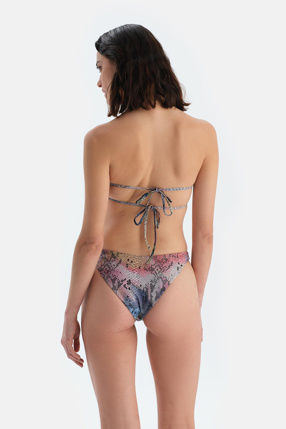 Multicolor Brazilian Bikini Alt