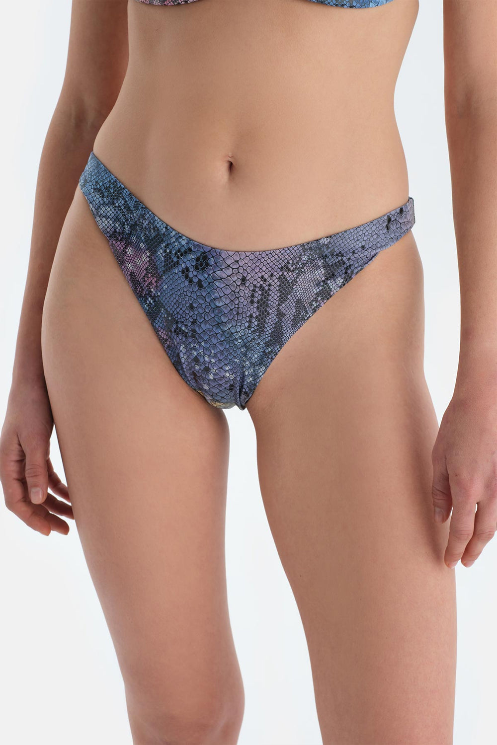 Multicolor Brazilian Bikini Alt