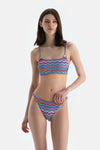 Multicolor Orta Bel Bikini Alt