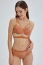 TERRACOTTA BASIC UNDERWEAR BOTTOM