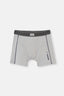 GREY BOXER